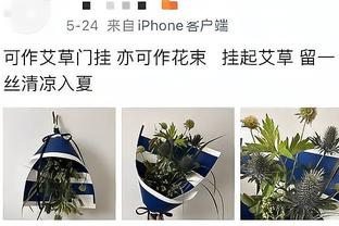 干啥呢？马绍尔“鞭打”莺歌小屁屁？后者一脸享受？